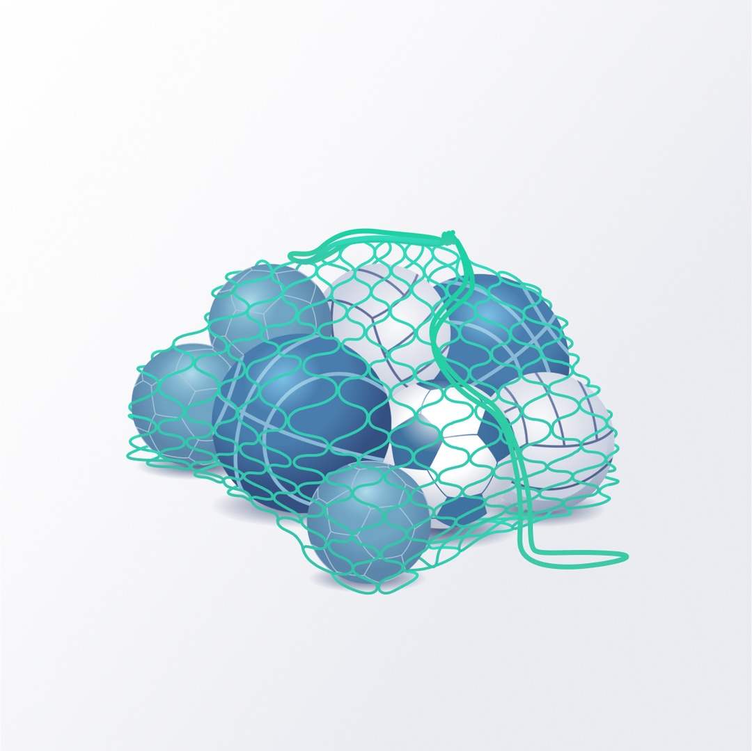 Carrying net for balls